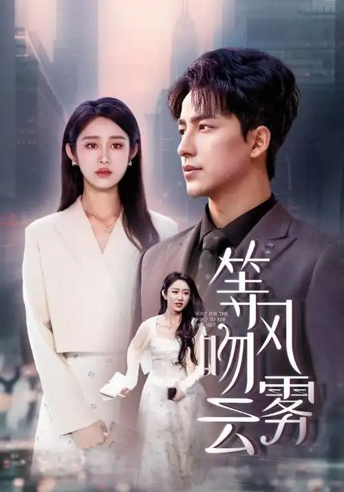 长风渡月热播电视剧全集在线观看